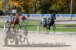 Dateiname=20251026_qu3_051_QU3_0128.jpg
Dateigröße=350KB
Abmessungen: 1000x667
hinzugefügt am: 27. Oktober 2025 20251026_qu3_051_QU3_0128.jpg