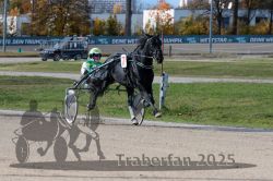 Dateiname=20251026_qu3_053_QU3_0140.jpg
Dateigröße=332KB
Abmessungen: 1000x667
hinzugefügt am: 27. Oktober 2025 20251026_qu3_053_QU3_0140.jpg