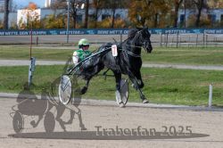 Dateiname=20251026_qu3_056_QU3_0147.jpg
Dateigröße=322KB
Abmessungen: 1000x667
hinzugefügt am: 27. Oktober 2025 20251026_qu3_056_QU3_0147.jpg