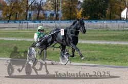 Dateiname=20251026_qu3_058_QU3_0153.jpg
Dateigröße=329KB
Abmessungen: 1000x667
hinzugefügt am: 27. Oktober 2025 20251026_qu3_058_QU3_0153.jpg