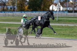 Dateiname=20251026_qu3_059_QU3_0156.jpg
Dateigröße=316KB
Abmessungen: 1000x667
hinzugefügt am: 27. Oktober 2025 20251026_qu3_059_QU3_0156.jpg