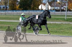 Dateiname=20251026_qu3_060_QU3_0157.jpg
Dateigröße=315KB
Abmessungen: 1000x667
hinzugefügt am: 27. Oktober 2025 20251026_qu3_060_QU3_0157.jpg