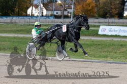 Dateiname=20251026_qu3_061_QU3_0160.jpg
Dateigröße=307KB
Abmessungen: 1000x667
hinzugefügt am: 27. Oktober 2025 20251026_qu3_061_QU3_0160.jpg