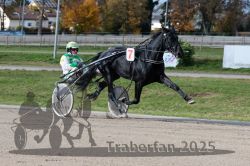 Dateiname=20251026_qu3_062_QU3_0163.jpg
Dateigröße=324KB
Abmessungen: 1000x667
hinzugefügt am: 27. Oktober 2025 20251026_qu3_062_QU3_0163.jpg