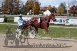 Dateiname=20251026_qu3_064_QU3_0167.jpg
Dateigröße=327KB
Abmessungen: 1000x667
hinzugefügt am: 27. Oktober 2025 20251026_qu3_064_QU3_0167.jpg