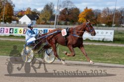 Dateiname=20251026_qu3_065_QU3_0170.jpg
Dateigröße=301KB
Abmessungen: 1000x667
hinzugefügt am: 27. Oktober 2025 20251026_qu3_065_QU3_0170.jpg