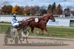 Dateiname=20251026_qu3_066_QU3_0173.jpg
Dateigröße=269KB
Abmessungen: 1000x667
hinzugefügt am: 27. Oktober 2025 20251026_qu3_066_QU3_0173.jpg