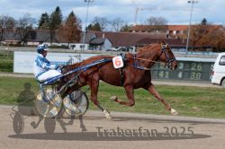 Dateiname=20251026_qu3_067_QU3_0176.jpg
Dateigröße=295KB
Abmessungen: 1000x667
hinzugefügt am: 27. Oktober 2025 20251026_qu3_067_QU3_0176.jpg