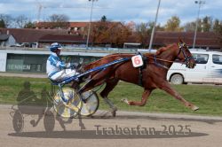 Dateiname=20251026_qu3_068_QU3_0179.jpg
Dateigröße=298KB
Abmessungen: 1000x667
hinzugefügt am: 27. Oktober 2025 20251026_qu3_068_QU3_0179.jpg