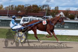 Dateiname=20251026_qu3_069_QU3_0183.jpg
Dateigröße=278KB
Abmessungen: 1000x667
hinzugefügt am: 27. Oktober 2025 20251026_qu3_069_QU3_0183.jpg