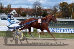 Dateiname=20251026_qu3_070_QU3_0186.jpg
Dateigröße=309KB
Abmessungen: 1000x667
hinzugefügt am: 27. Oktober 2025 20251026_qu3_070_QU3_0186.jpg