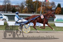 Dateiname=20251026_qu3_071_QU3_0189.jpg
Dateigröße=327KB
Abmessungen: 1000x667
hinzugefügt am: 27. Oktober 2025 20251026_qu3_071_QU3_0189.jpg