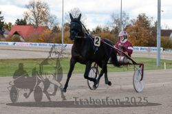 Dateiname=20251026_r01_001_R01_0003.jpg
Dateigröße=303KB
Abmessungen: 1000x667
hinzugefügt am: 27. Oktober 2025 20251026_r01_001_R01_0003.jpg