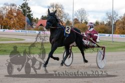 Dateiname=20251026_r01_002_R01_0007.jpg
Dateigröße=322KB
Abmessungen: 1000x667
hinzugefügt am: 27. Oktober 2025 20251026_r01_002_R01_0007.jpg