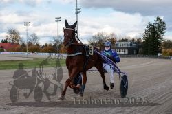 Dateiname=20251026_r01_003_R01_0010.jpg
Dateigröße=277KB
Abmessungen: 1000x667
hinzugefügt am: 27. Oktober 2025 20251026_r01_003_R01_0010.jpg