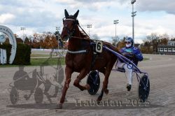 Dateiname=20251026_r01_004_R01_0015.jpg
Dateigröße=274KB
Abmessungen: 1000x667
hinzugefügt am: 27. Oktober 2025 20251026_r01_004_R01_0015.jpg