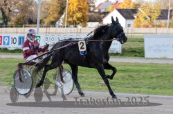 Dateiname=20251026_r01_005_R01_0018.jpg
Dateigröße=303KB
Abmessungen: 1000x667
hinzugefügt am: 27. Oktober 2025 20251026_r01_005_R01_0018.jpg