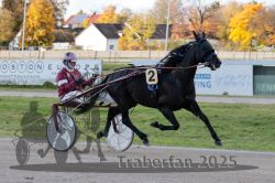 Dateiname=20251026_r01_006_R01_0021.jpg
Dateigröße=300KB
Abmessungen: 1000x667
hinzugefügt am: 27. Oktober 2025 20251026_r01_006_R01_0021.jpg