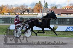 Dateiname=20251026_r01_008_R01_0028.jpg
Dateigröße=291KB
Abmessungen: 1000x667
hinzugefügt am: 27. Oktober 2025 20251026_r01_008_R01_0028.jpg