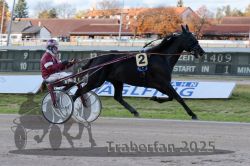 Dateiname=20251026_r01_009_R01_0032.jpg
Dateigröße=298KB
Abmessungen: 1000x667
hinzugefügt am: 27. Oktober 2025 20251026_r01_009_R01_0032.jpg