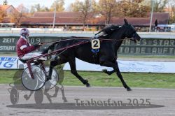 Dateiname=20251026_r01_011_R01_0036.jpg
Dateigröße=295KB
Abmessungen: 1000x667
hinzugefügt am: 27. Oktober 2025 20251026_r01_011_R01_0036.jpg