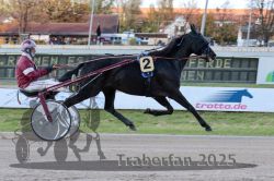 Dateiname=20251026_r01_012_R01_0039.jpg
Dateigröße=300KB
Abmessungen: 1000x667
hinzugefügt am: 27. Oktober 2025 20251026_r01_012_R01_0039.jpg