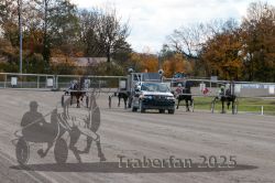 Dateiname=20251026_r01_015_R01_0054.jpg
Dateigröße=369KB
Abmessungen: 1000x667
hinzugefügt am: 27. Oktober 2025 20251026_r01_015_R01_0054.jpg