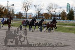 Dateiname=20251026_r01_016_R01_0061.jpg
Dateigröße=331KB
Abmessungen: 1000x667
hinzugefügt am: 27. Oktober 2025 20251026_r01_016_R01_0061.jpg