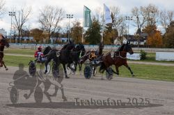 Dateiname=20251026_r01_018_R01_0067.jpg
Dateigröße=353KB
Abmessungen: 1000x667
hinzugefügt am: 27. Oktober 2025 20251026_r01_018_R01_0067.jpg