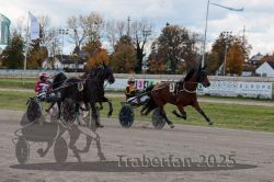 Dateiname=20251026_r01_020_R01_0074.jpg
Dateigröße=317KB
Abmessungen: 1000x667
hinzugefügt am: 27. Oktober 2025 20251026_r01_020_R01_0074.jpg