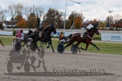 Dateiname=20251026_r01_021_R01_0077.jpg
Dateigröße=316KB
Abmessungen: 1000x667
hinzugefügt am: 27. Oktober 2025 20251026_r01_021_R01_0077.jpg