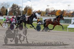 Dateiname=20251026_r01_022_R01_0080.jpg
Dateigröße=316KB
Abmessungen: 1000x667
hinzugefügt am: 27. Oktober 2025 20251026_r01_022_R01_0080.jpg