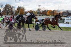 Dateiname=20251026_r01_023_R01_0081.jpg
Dateigröße=311KB
Abmessungen: 1000x667
hinzugefügt am: 27. Oktober 2025 20251026_r01_023_R01_0081.jpg