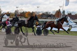 Dateiname=20251026_r01_024_R01_0084.jpg
Dateigröße=286KB
Abmessungen: 1000x667
hinzugefügt am: 27. Oktober 2025 20251026_r01_024_R01_0084.jpg