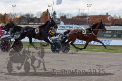 Dateiname=20251026_r01_025_R01_0087.jpg
Dateigröße=282KB
Abmessungen: 1000x667
hinzugefügt am: 27. Oktober 2025 20251026_r01_025_R01_0087.jpg