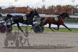 Dateiname=20251026_r01_026_R01_0091.jpg
Dateigröße=299KB
Abmessungen: 1000x667
hinzugefügt am: 27. Oktober 2025 20251026_r01_026_R01_0091.jpg