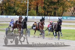 Dateiname=20251026_r01_029_R01_0098.jpg
Dateigröße=334KB
Abmessungen: 1000x667
hinzugefügt am: 27. Oktober 2025 20251026_r01_029_R01_0098.jpg