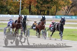 Dateiname=20251026_r01_030_R01_0101.jpg
Dateigröße=331KB
Abmessungen: 1000x667
hinzugefügt am: 27. Oktober 2025 20251026_r01_030_R01_0101.jpg