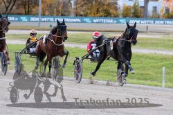 Dateiname=20251026_r01_031_R01_0104.jpg
Dateigröße=327KB
Abmessungen: 1000x667
hinzugefügt am: 27. Oktober 2025 20251026_r01_031_R01_0104.jpg