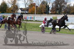 Dateiname=20251026_r01_040_R01_0123.jpg
Dateigröße=377KB
Abmessungen: 1000x667
hinzugefügt am: 27. Oktober 2025 20251026_r01_040_R01_0123.jpg