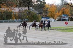 Dateiname=20251026_r01_048_R01_0153.jpg
Dateigröße=345KB
Abmessungen: 1000x667
hinzugefügt am: 27. Oktober 2025 20251026_r01_048_R01_0153.jpg