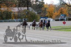 Dateiname=20251026_r01_049_R01_0155.jpg
Dateigröße=343KB
Abmessungen: 1000x667
hinzugefügt am: 27. Oktober 2025 20251026_r01_049_R01_0155.jpg