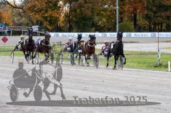 Dateiname=20251026_r01_055_R01_0176.jpg
Dateigröße=330KB
Abmessungen: 1000x667
hinzugefügt am: 27. Oktober 2025 20251026_r01_055_R01_0176.jpg