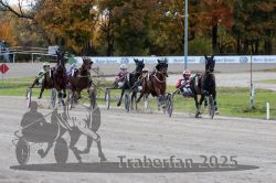 Dateiname=20251026_r01_056_R01_0179.jpg
Dateigröße=331KB
Abmessungen: 1000x667
hinzugefügt am: 27. Oktober 2025 20251026_r01_056_R01_0179.jpg