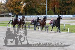 Dateiname=20251026_r01_057_R01_0182.jpg
Dateigröße=331KB
Abmessungen: 1000x667
hinzugefügt am: 27. Oktober 2025 20251026_r01_057_R01_0182.jpg