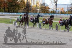 Dateiname=20251026_r01_060_R01_0194.jpg
Dateigröße=357KB
Abmessungen: 1000x667
hinzugefügt am: 27. Oktober 2025 20251026_r01_060_R01_0194.jpg