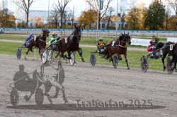 Dateiname=20251026_r01_063_R01_0203.jpg
Dateigröße=374KB
Abmessungen: 1000x667
hinzugefügt am: 27. Oktober 2025 20251026_r01_063_R01_0203.jpg