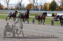 Dateiname=20251026_r01_064_R01_0204.jpg
Dateigröße=377KB
Abmessungen: 1000x667
hinzugefügt am: 27. Oktober 2025 20251026_r01_064_R01_0204.jpg