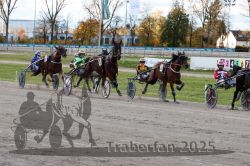 Dateiname=20251026_r01_065_R01_0207.jpg
Dateigröße=379KB
Abmessungen: 1000x667
hinzugefügt am: 27. Oktober 2025 20251026_r01_065_R01_0207.jpg