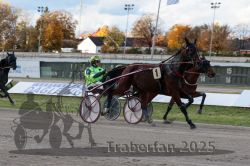 Dateiname=20251026_r01_070_R01_0217.jpg
Dateigröße=305KB
Abmessungen: 1000x667
hinzugefügt am: 27. Oktober 2025 20251026_r01_070_R01_0217.jpg